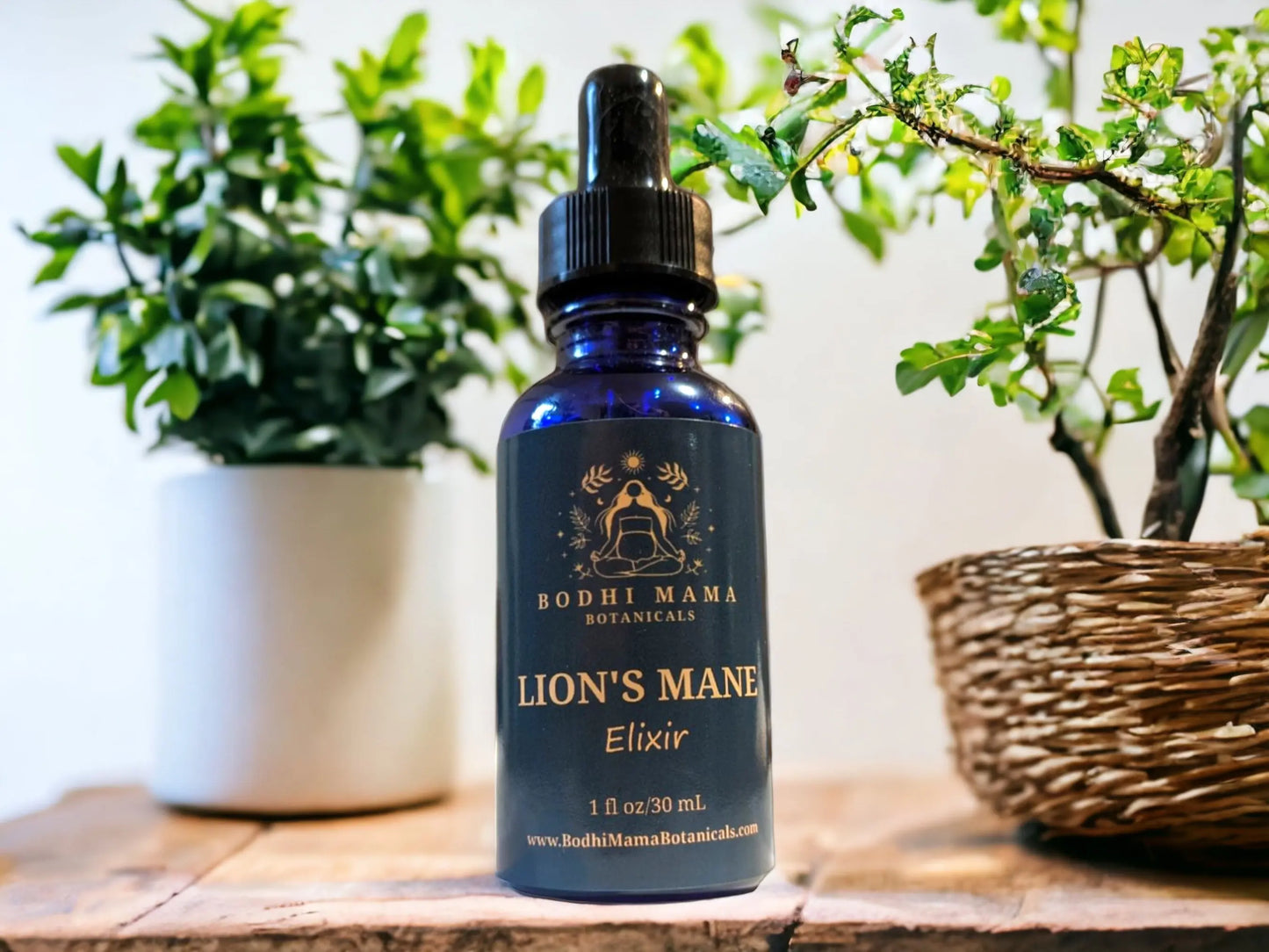 Wild Lions Mane Elixir || Brain & Nerve Support Bodhi Mama Botanicals