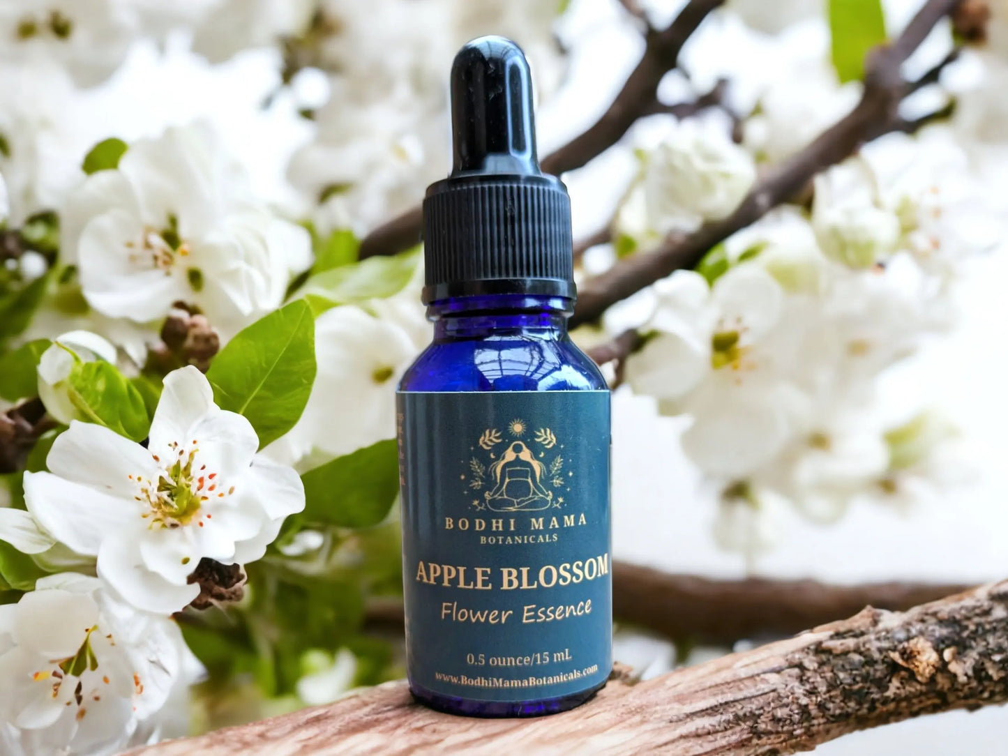 Apple Blossom Flower Essence || Rebirth & Wisdom Bodhi Mama Botanicals