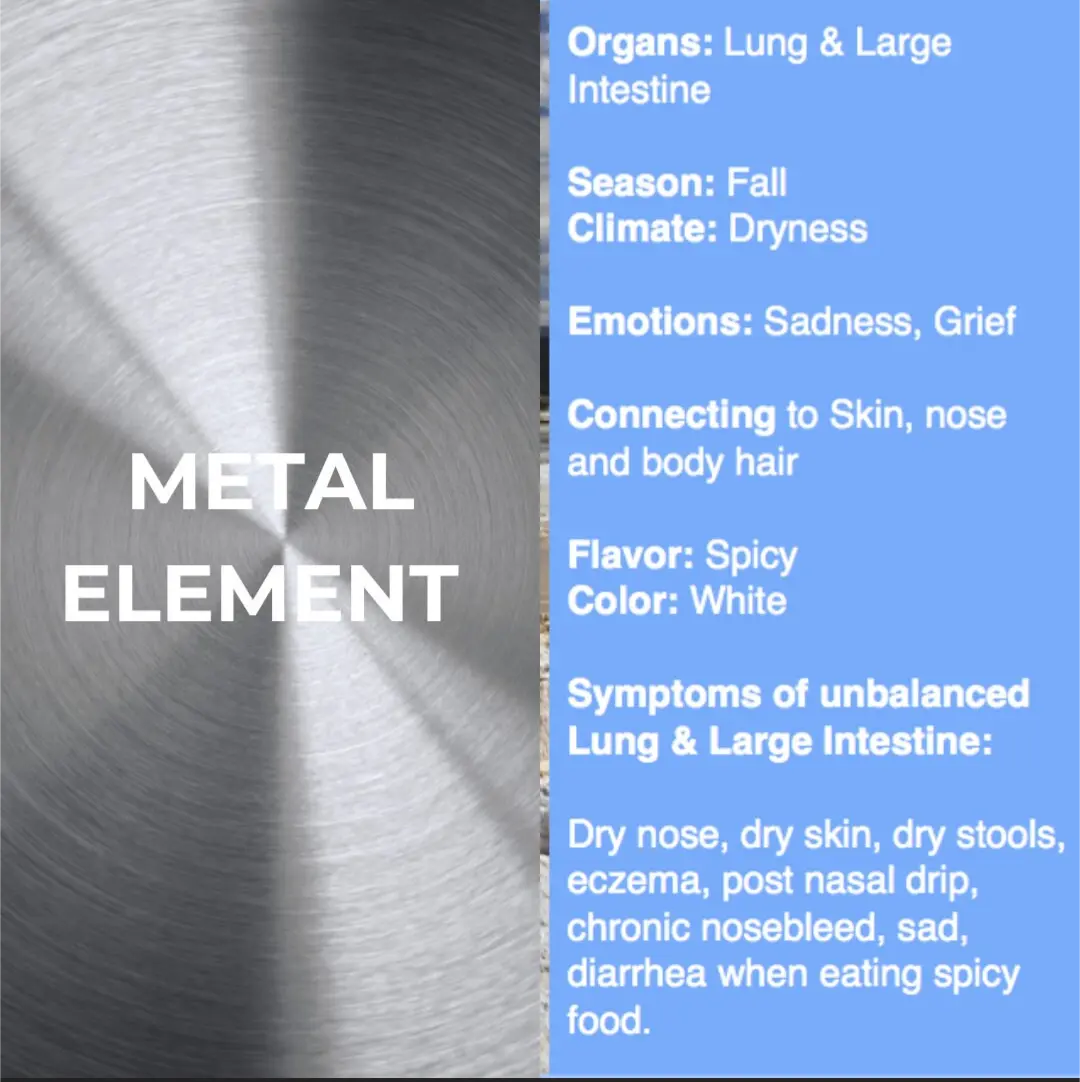 Autumn Herbal Wellness Package Bodhi Mama Botanicals