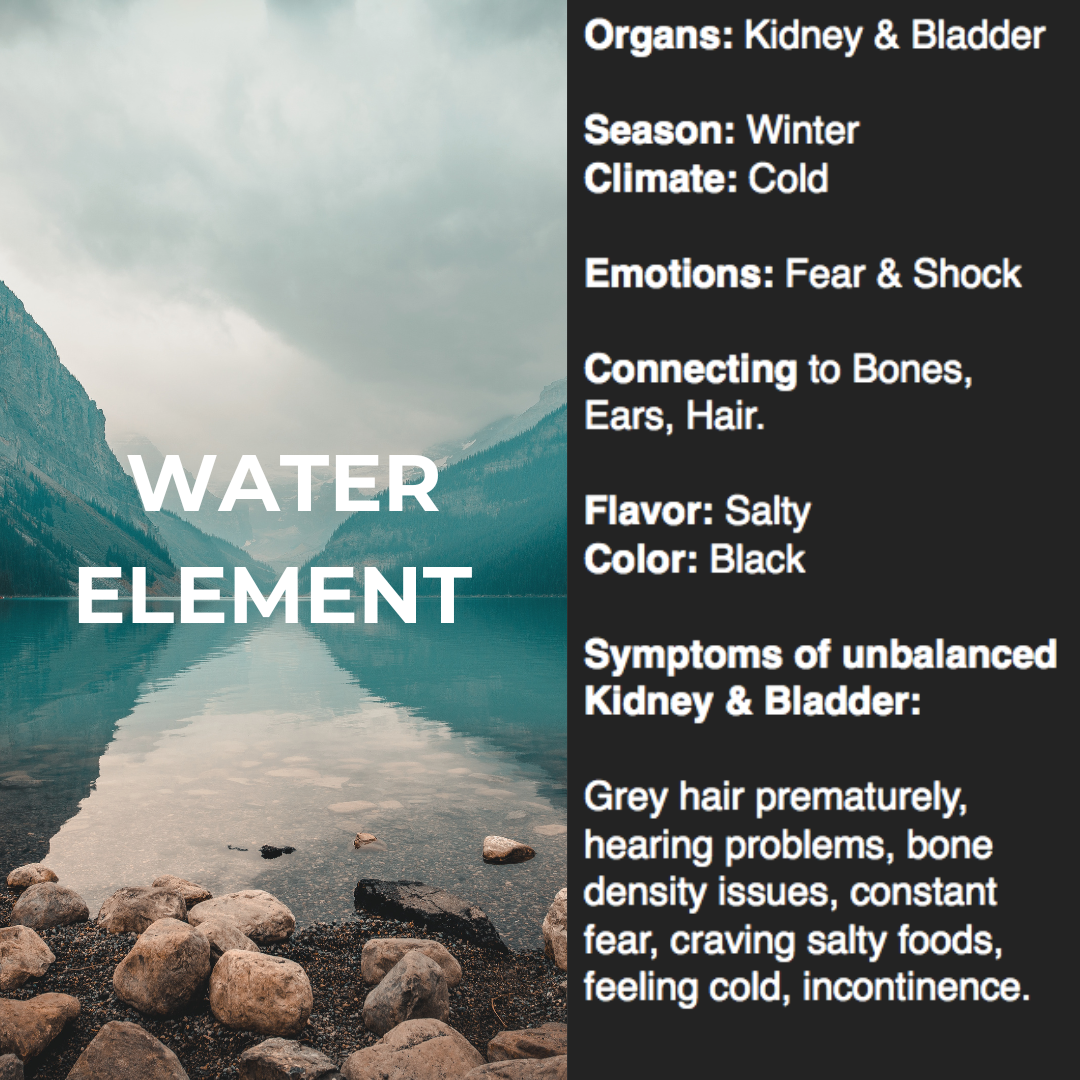 Water Element Elixir | Kidney Support | Cleavers, Horsetail, Goji Berry | I Fluid Ounce