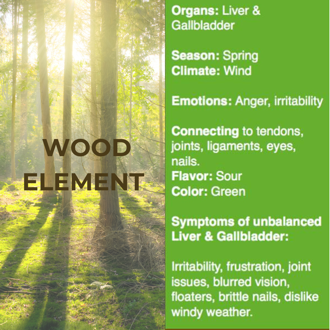 Wood Element Elixir | Liver Support | Dandelion | Oregon Grape Root | Milk Thistle | Turmeric | Nettle | Organic Tincture | 1 fluid ounce