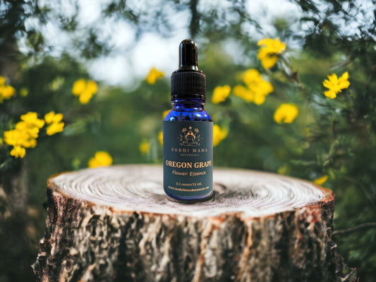 Oregon Grape Flower Essence || Confidence & Trust