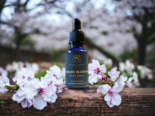 Cherry Blossom Flower Essence || Hope & New Beginnings