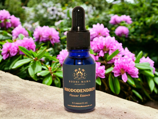 Rhododendron Flower Essence || Inner Nourishment