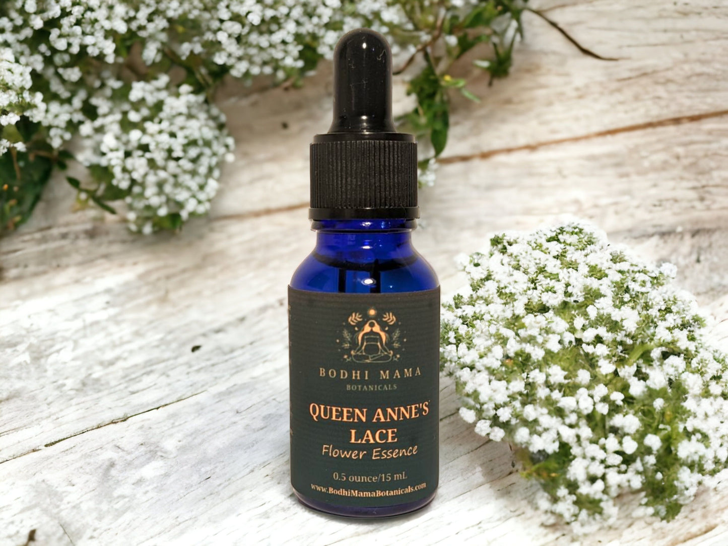 Queen Anne's Lace Flower Essence || Harmony & Clarity