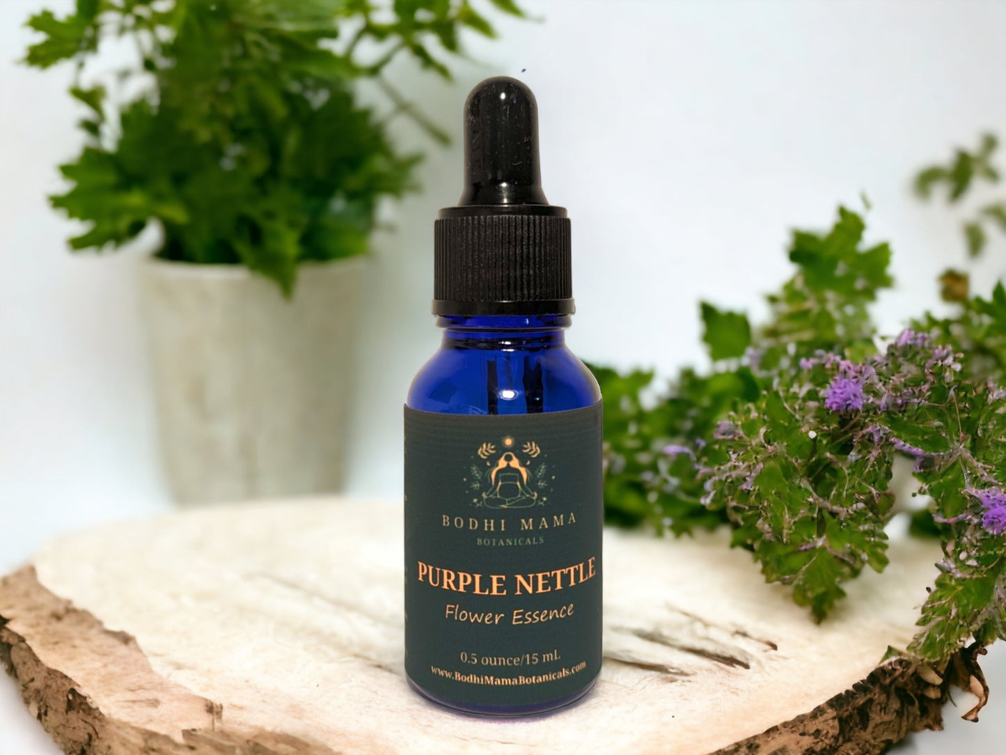 Purple Nettle Flower Essence || Sacral Chakra & Creative Expression