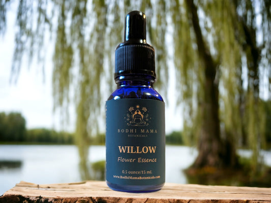 Willow Flower Essence || Forgiveness