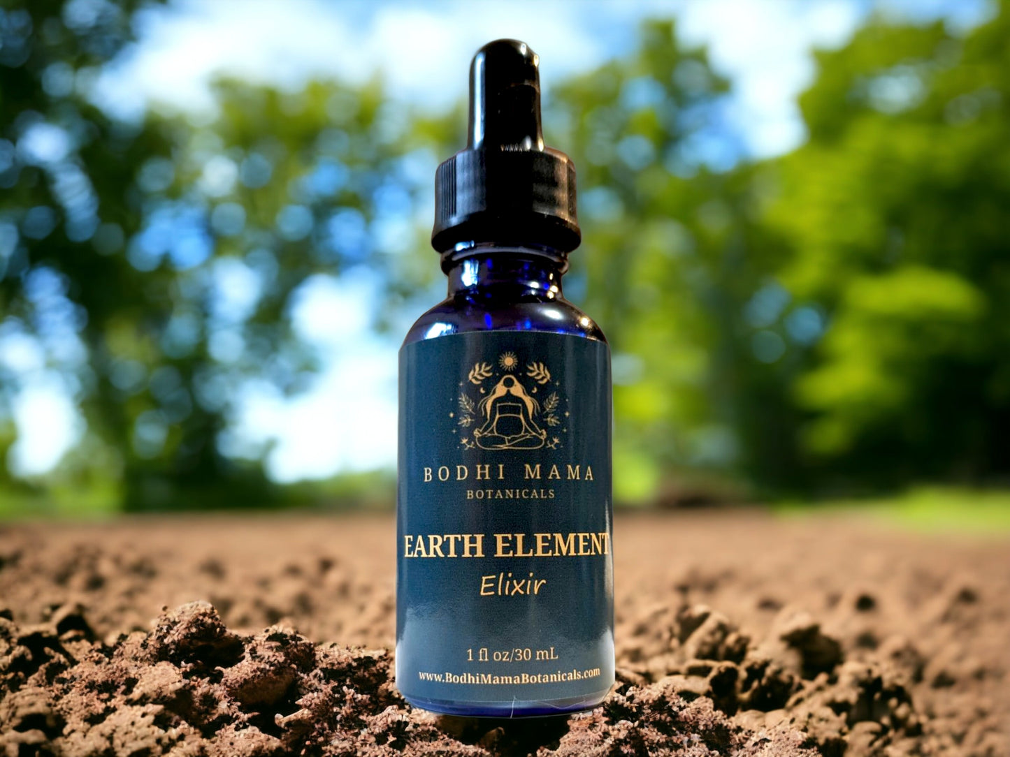 Earth Element TCM Elixir | Organic Tincture || Rooted Wellness Blend