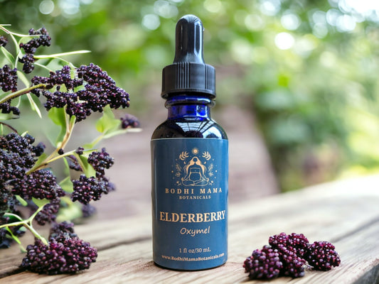 Elderberry Oxymel || Immune Support || Alcohol Free