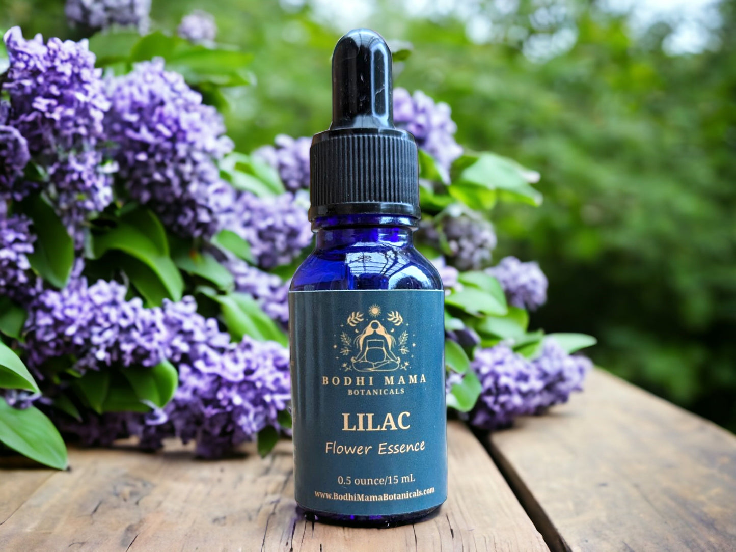 Lilac Flower Essence || Joy & Co-creation