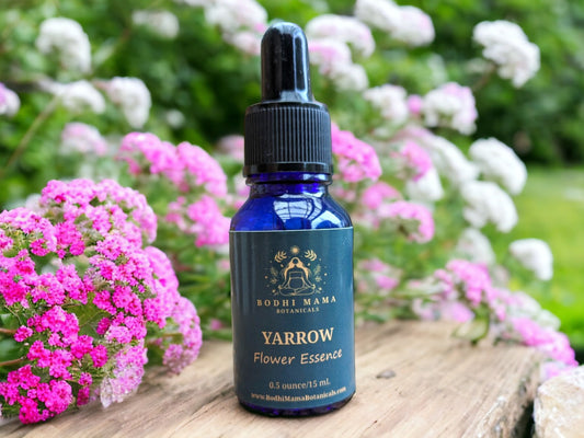 Yarrow Flower Essence || Cleanse & Protect