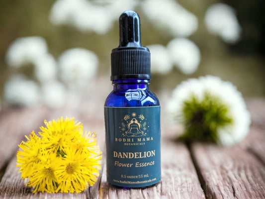 Dandelion Flower Essence || Solar Plexus Chakra & Authenticity