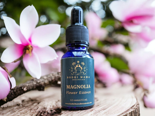 Magnolia Flower Essence || Heart Chakra & Nurture