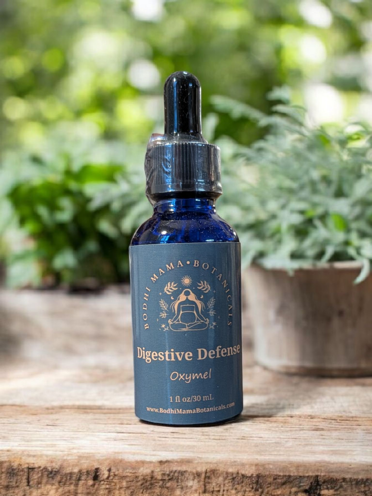 Digestive Defense Oxymel || Digestive Support || 1 fluid ounce