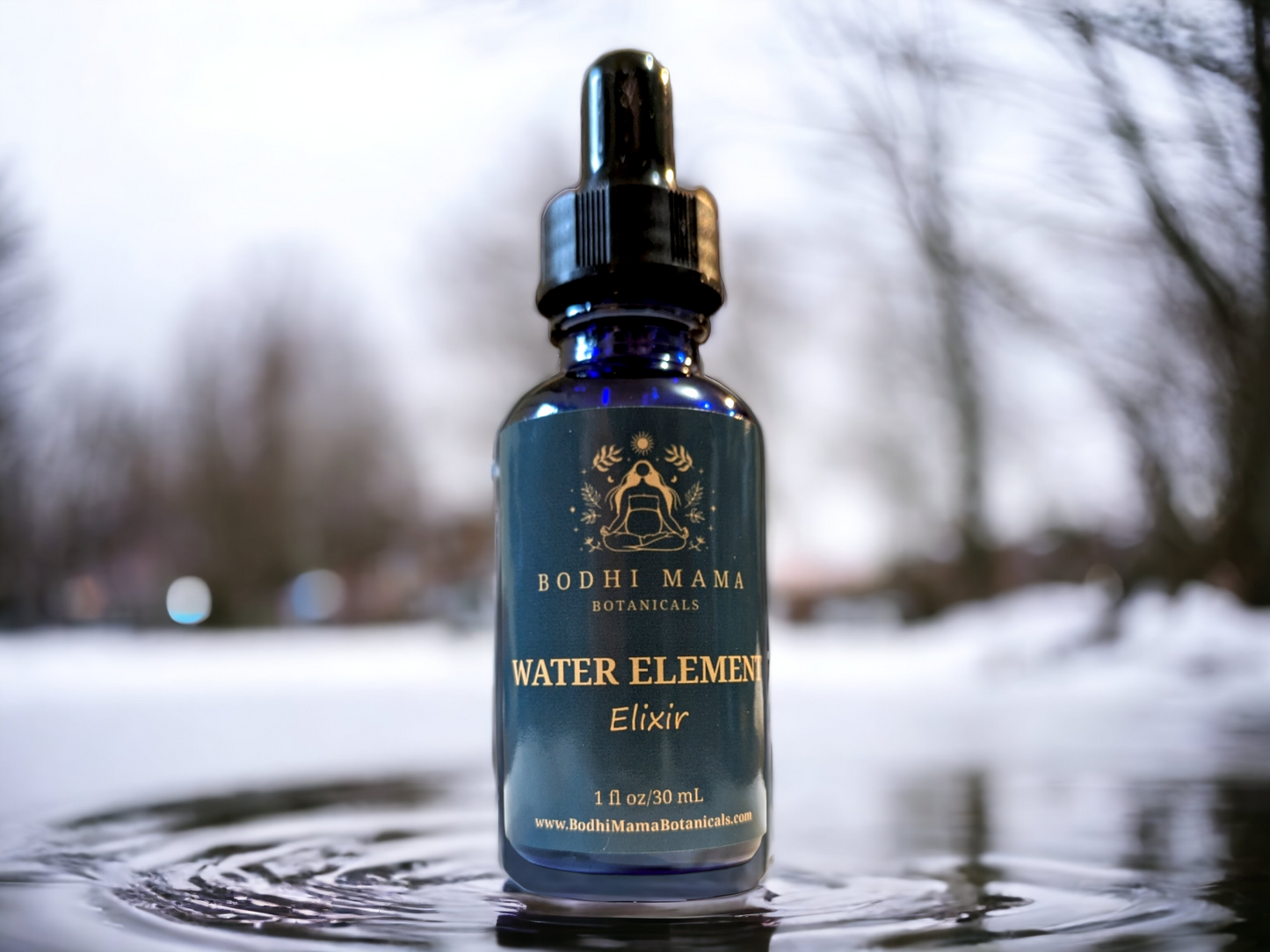 Water Element Elixir | Kidney Support | Cleavers, Horsetail, Goji Berry | I Fluid Ounce