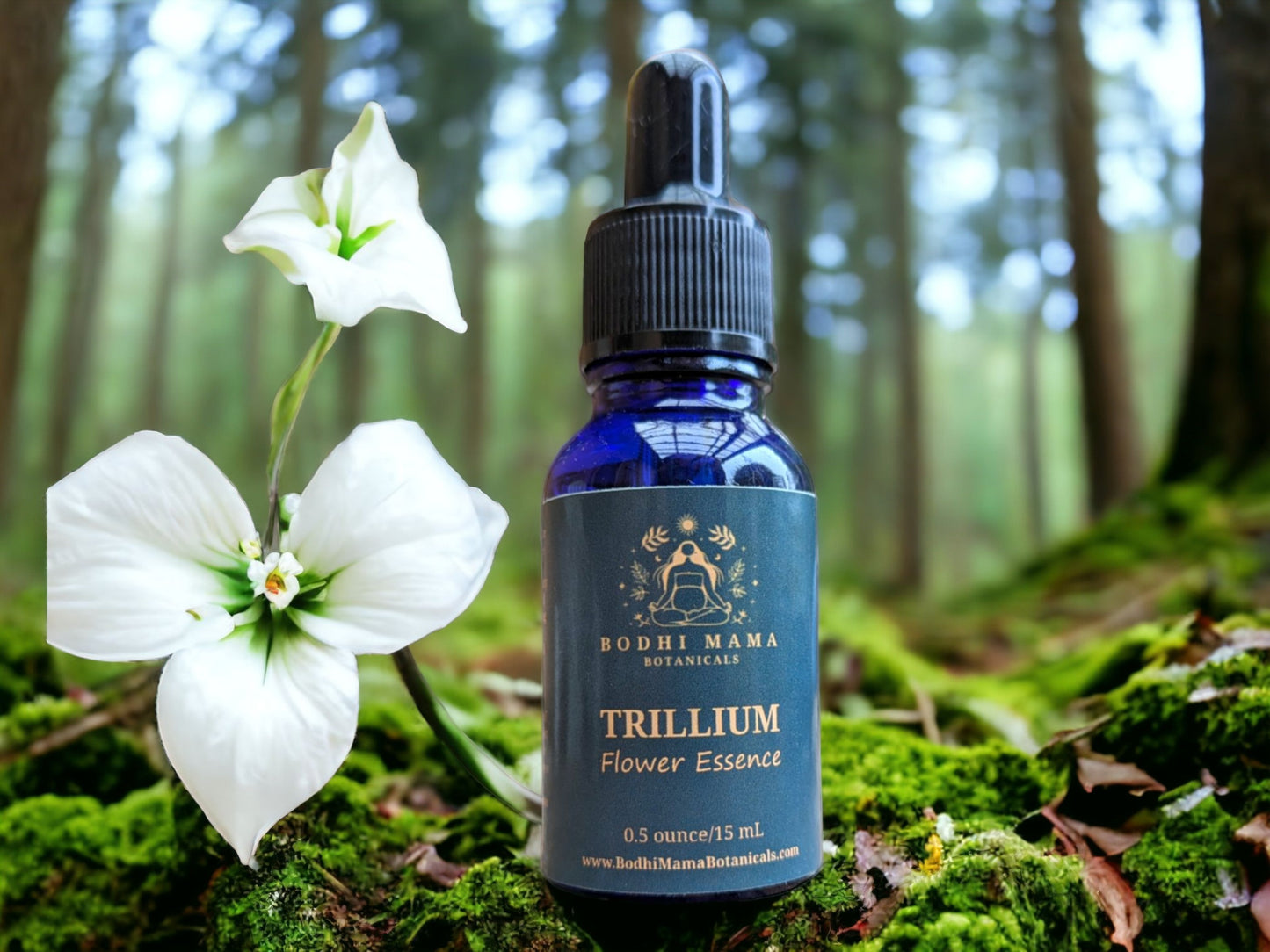 Trillium Flower Essence || Crown Chakra & Unity