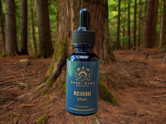 Reishi Elixir || Immune & Adaptogenic Support | Organic Tincture