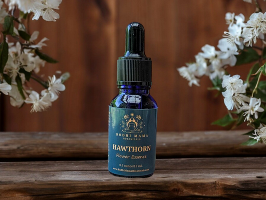 Hawthorn Flower Essence || Heals & Protects the Heart