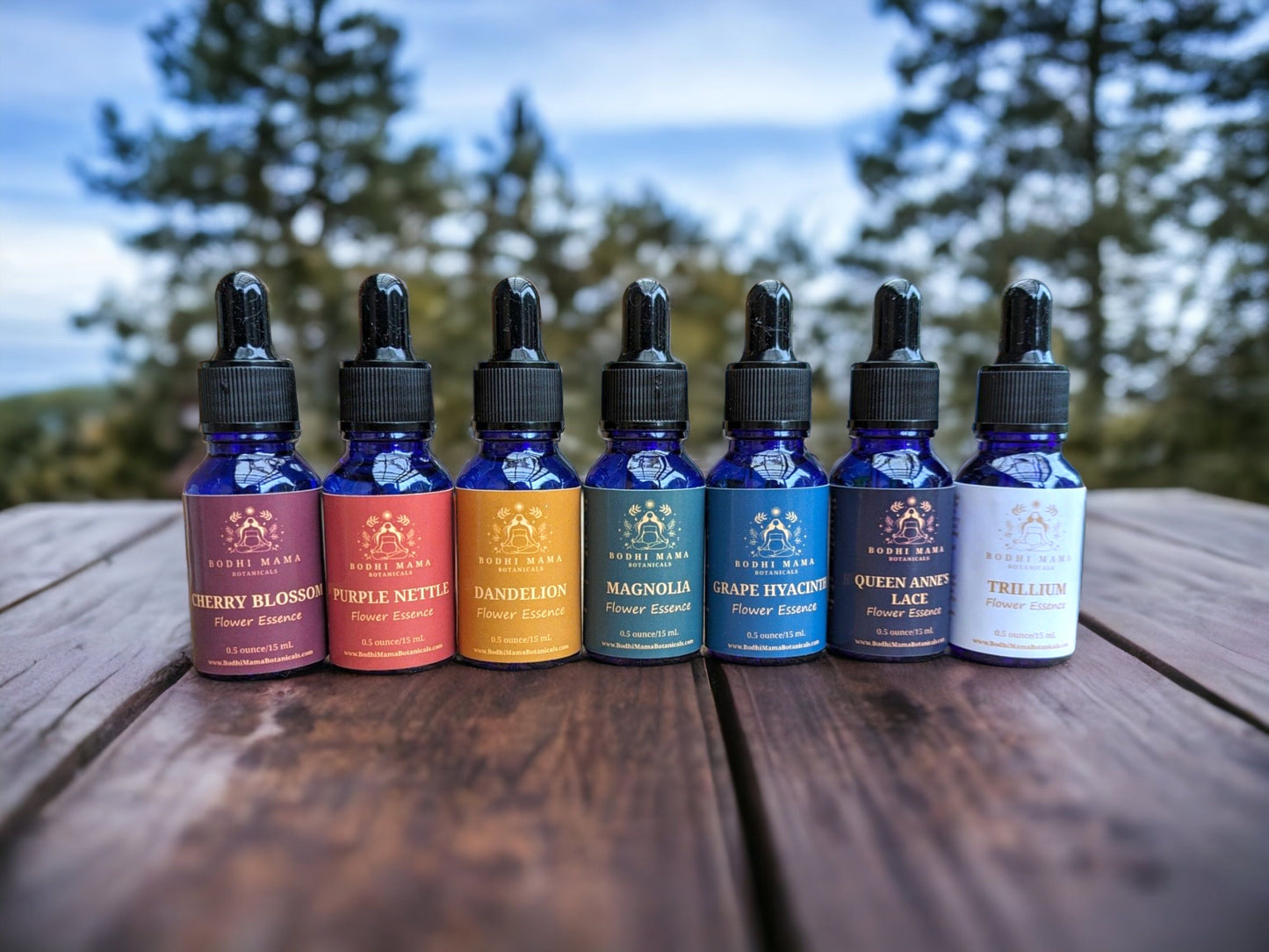 Chakra Harmony Flower Remedies || Nourish Your Energy Centers || Gift Set