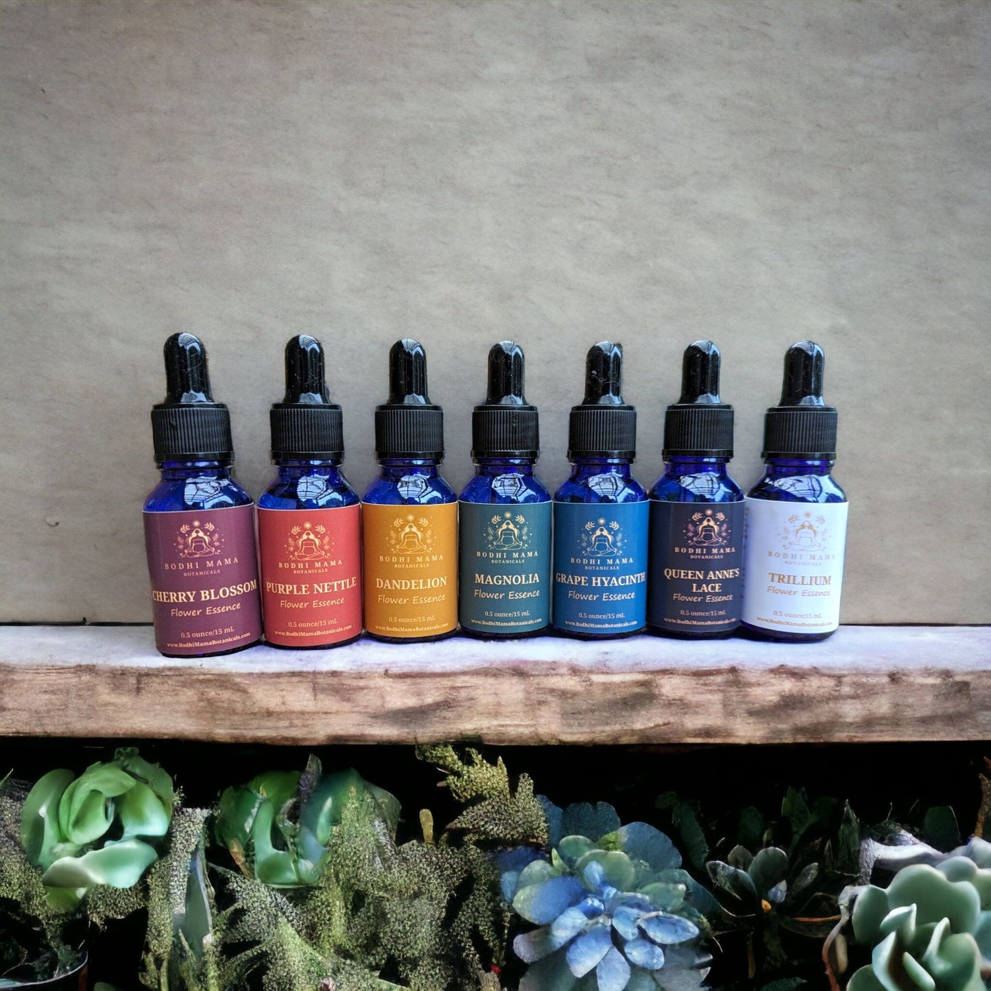 Chakra Harmony Flower Remedies || Nourish Your Energy Centers || Gift Set