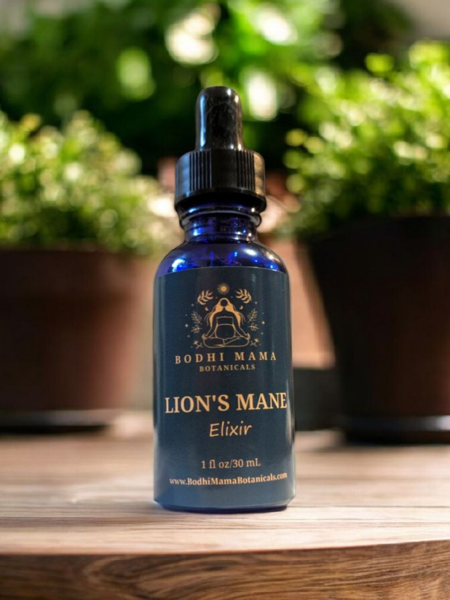 Wild Lions Mane Elixir || Brain & Nerve Support