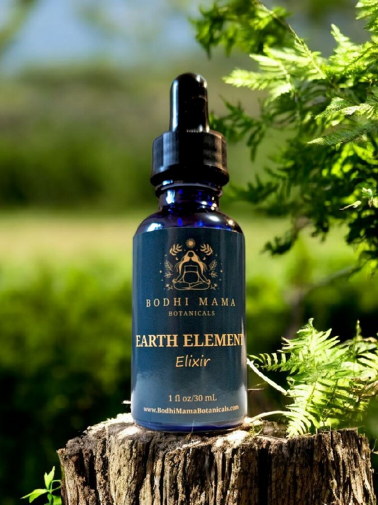 Earth Element TCM Elixir | Organic Tincture || Rooted Wellness Blend