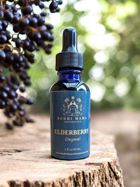 Elderberry Oxymel